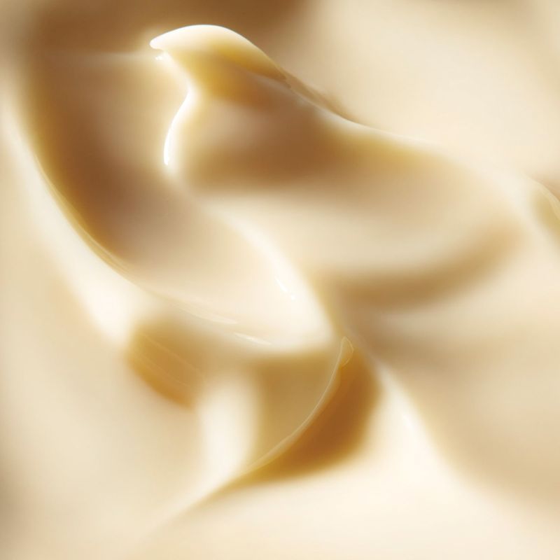 2000453_04
