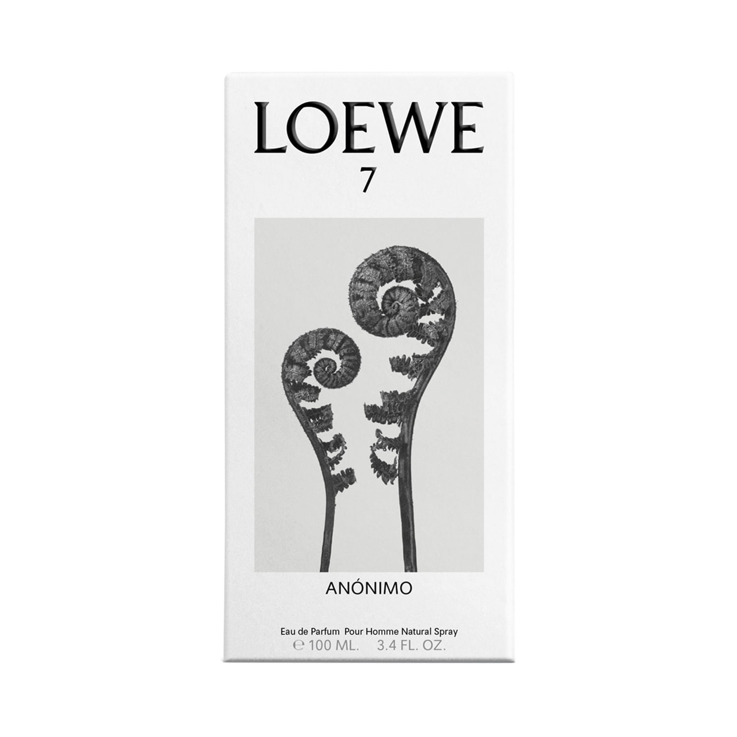 Anonimo shop 7 loewe