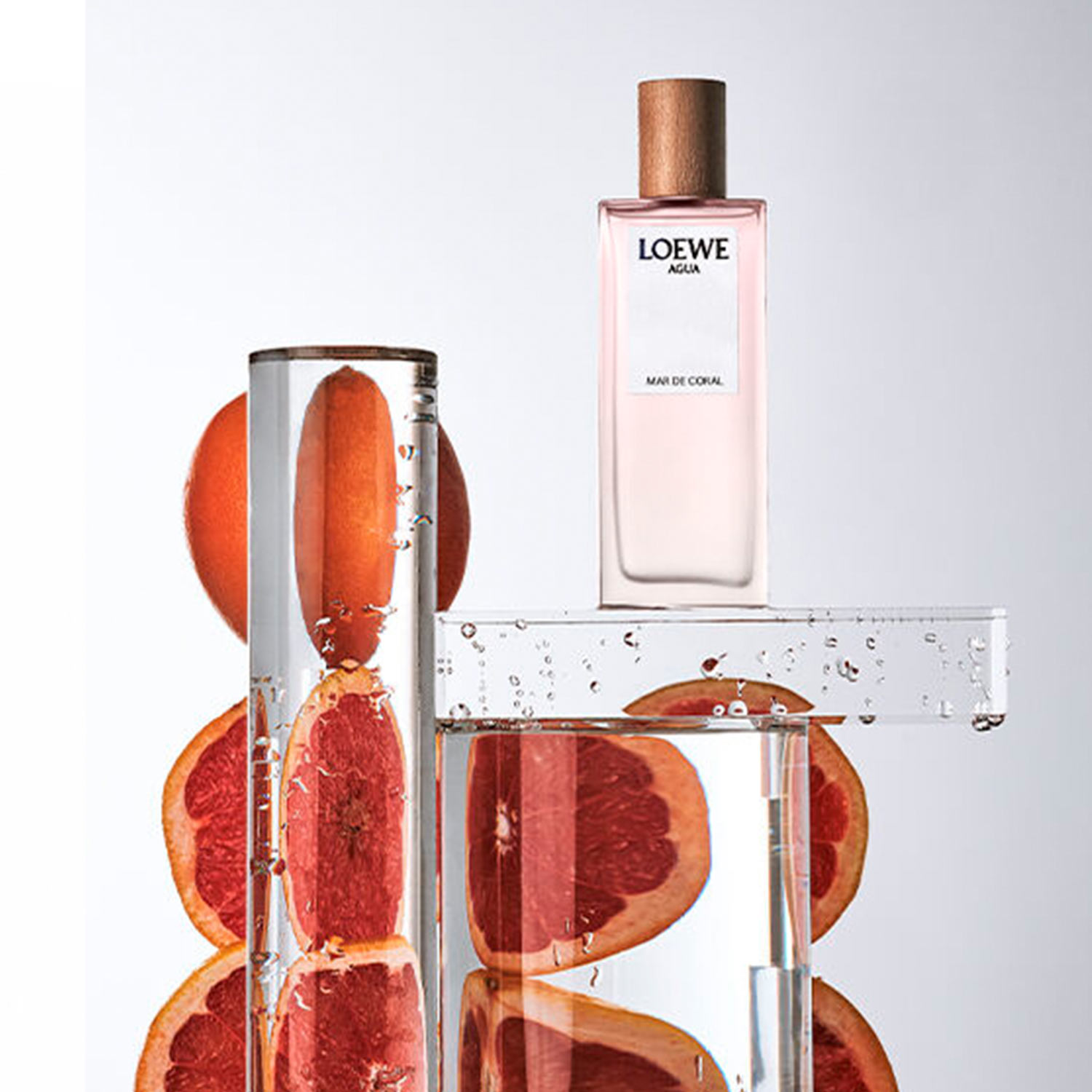 LOEWE AGUA MAR DE CORAL EDT | Juleriaque