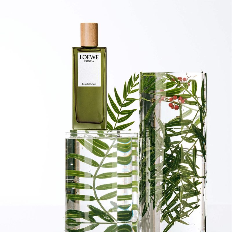 Eau de parfum loewe hotsell