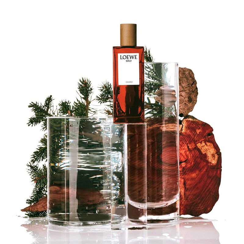 Cedro solo loewe store