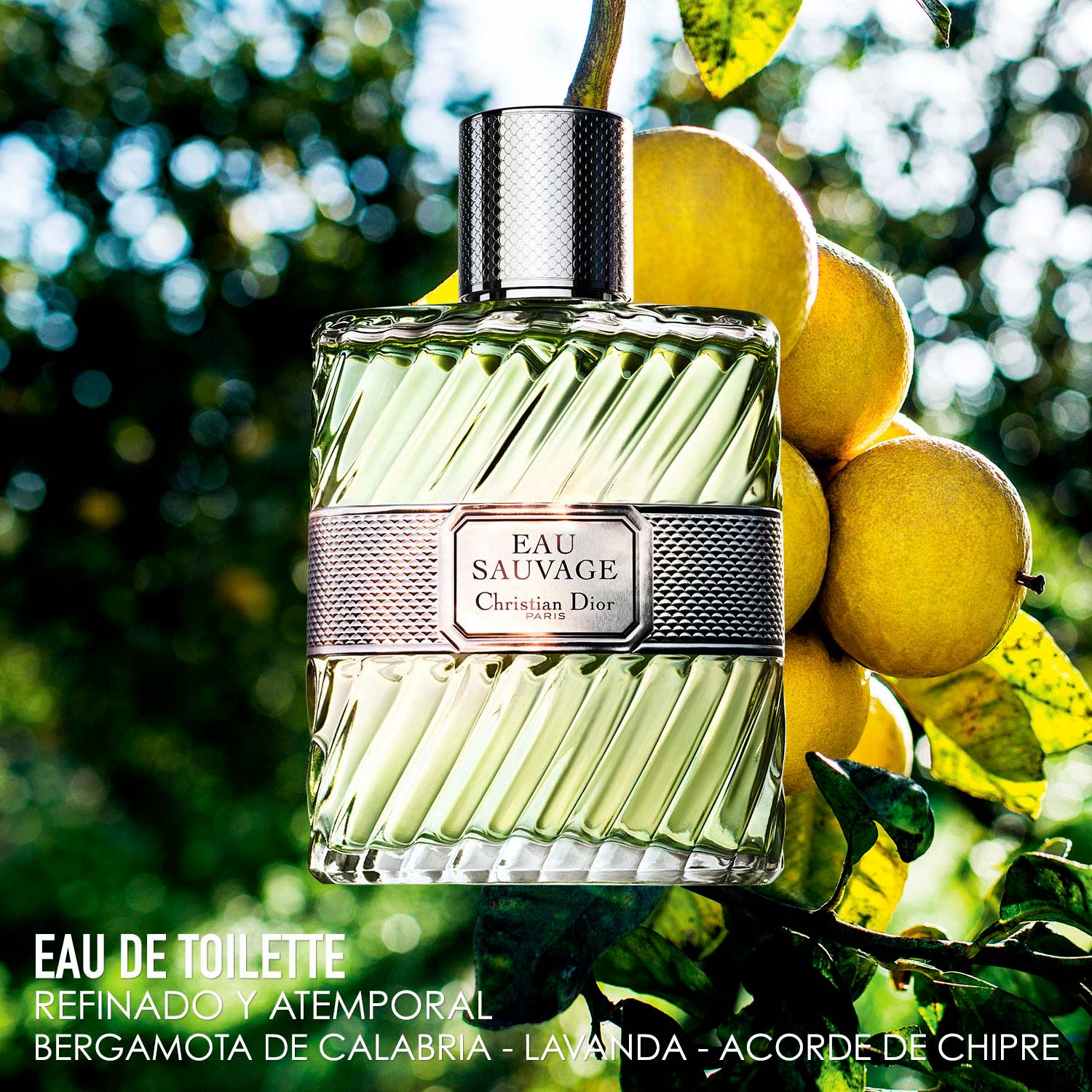 Eau sauvage 2025 by christian dior