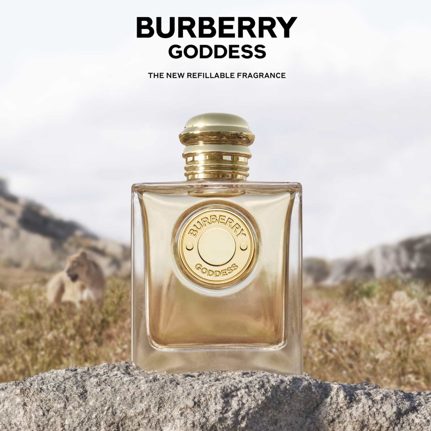 Burberry hotsell diseñador online