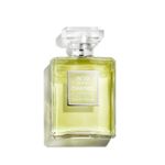 CHANEL-N-19-POUDRE-EDP