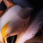 1001020-02