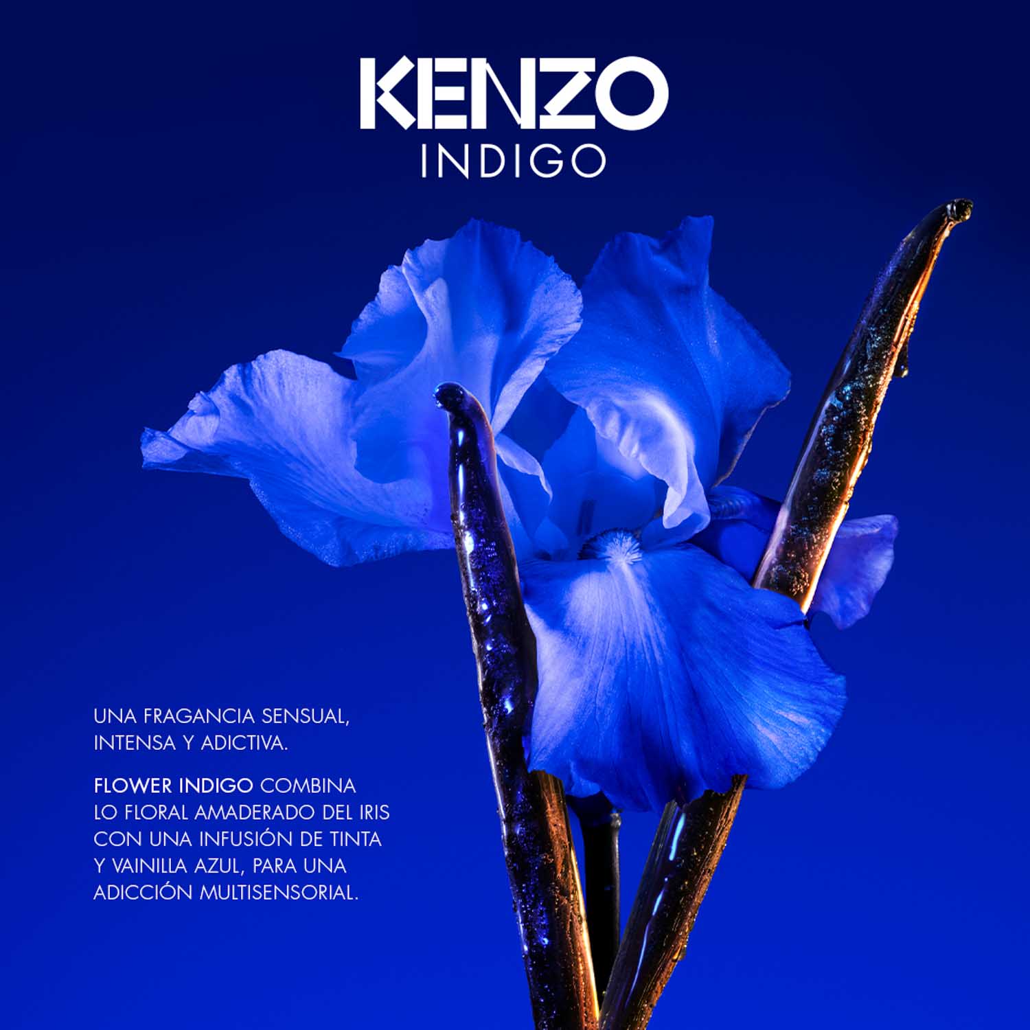 Perfume Kenzo Indigo Mujer Flower By Kenzo Ikebana Indigo Comprar