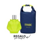 WE-ARE-TRIBE-PLAY-EDT