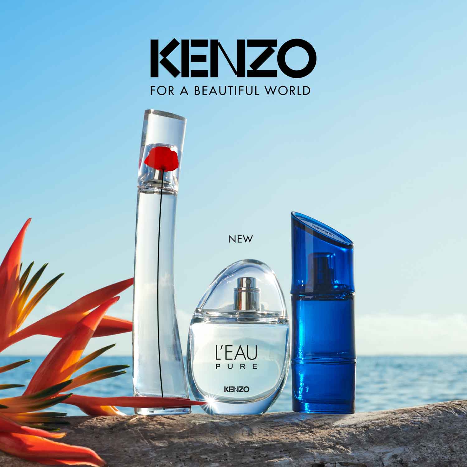 L'EAU PURE EDP Juleriaque