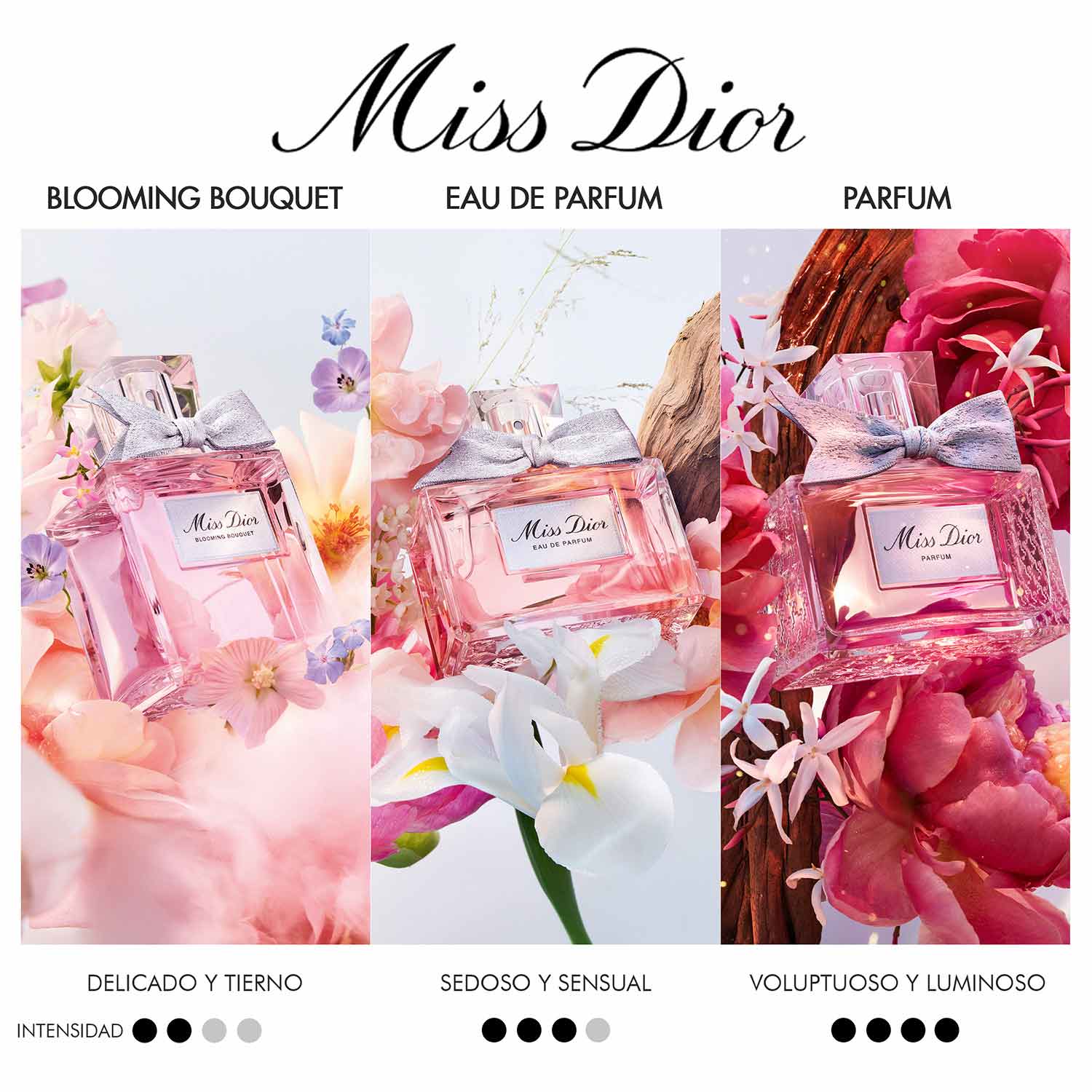 Miss Dior Blooming Bouquet EDT Juleriaque