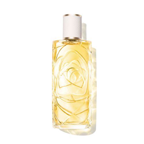 Ô ZENITH EDT