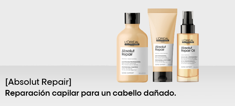 ABSOLUT REPAIR