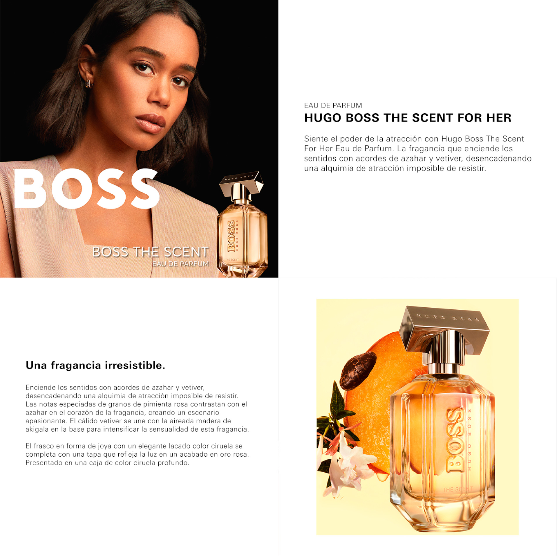 Hugo boss the shop scent notas olfativas